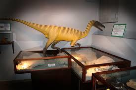 Muzeum Paleontologiczne w Lisowicach